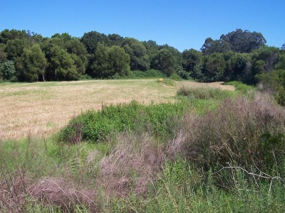 Property in Nabiac - Sold