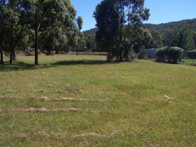 Property in Coolongolook - Sold