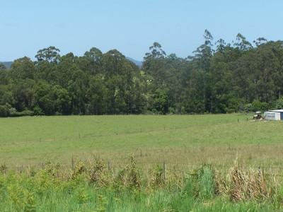 Property in Nabiac - Sold