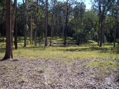 Property in Coolongolook - Sold