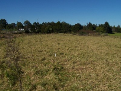 Property in Nabiac - Sold