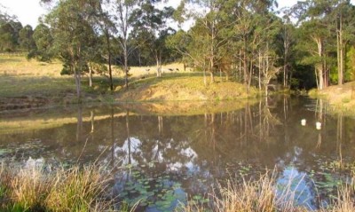 Property in Firefly - $550,000