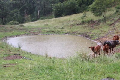 Property in Cooyar - $475,000