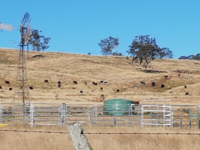 Property in Crows Nest - $650000