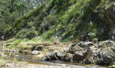 Property in Crows Nest - $250,000