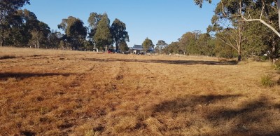 Property in Crows Nest - Sold