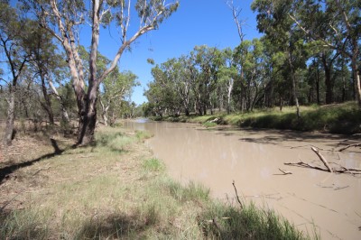 Property in Columboola - 750000 