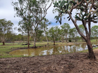 Property in Maidenwell - $349,000