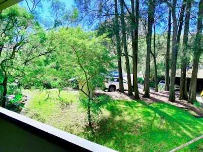 Property in Edgecliff - $520 per week
