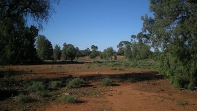 Property in Nyngan - Sold