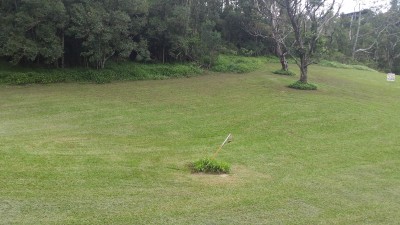 Property in Eungella - Sold