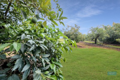 Property in West Woombye - Sold for $1,271,200