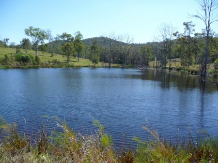 1557 Eumundi Kenilworth, Belli Park, QLD 4562