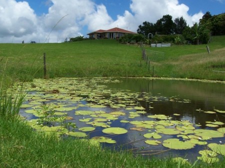 35 Cooke Rd, Witta, QLD 4552