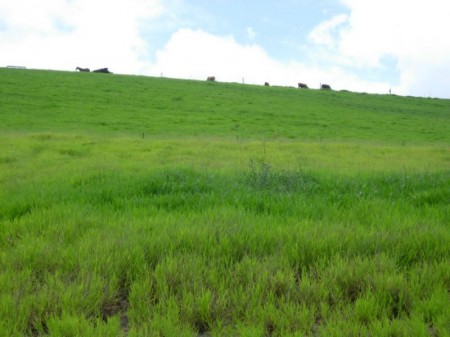 25 George Street, Brooloo, QLD 4570