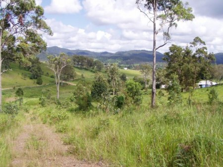 91 Tamlyn Road, Kenilworth, QLD 4574