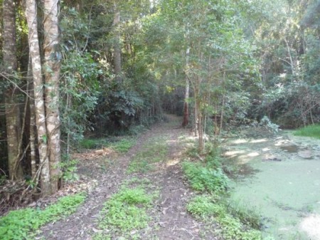 3259 Maleny - Kenilworth Road, Kenilworth, QLD 4574