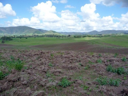 150 Grigor Road, Conondale, QLD 4552