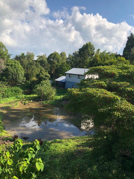 14 Attunga Crt, Witta, QLD 4552