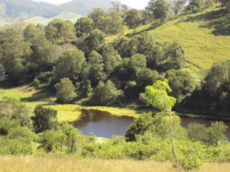 Lot2 D'aguilar Highway, Sandy Creek, QLD 4515