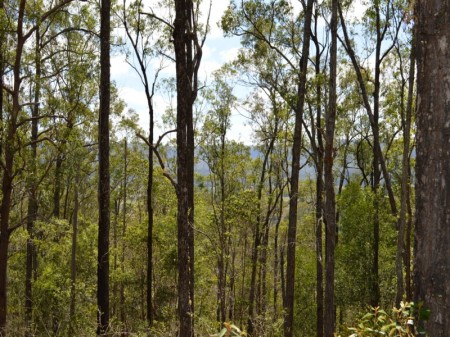 561 Kidaman Creek Road, Kidaman Creek, QLD 4574