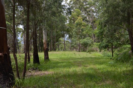 L179 Kilcoy Lane, Conondale, QLD 4552
