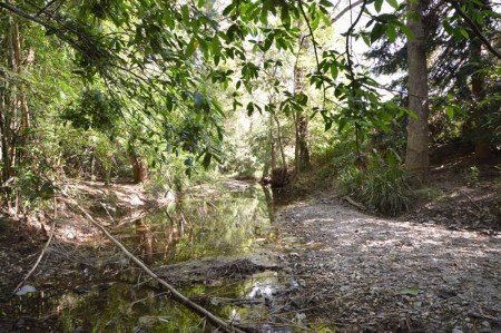 42 Yingani Road, Brooloo, QLD 4570