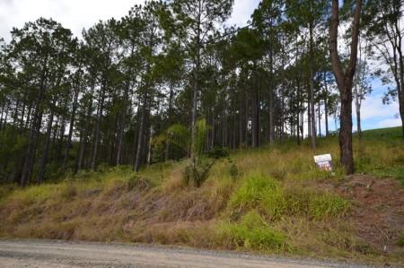 Lot 39 Timani Road, Bollier, QLD 4570