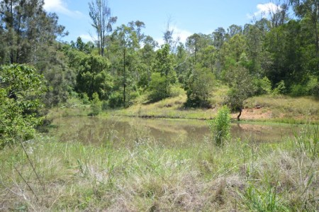 Lot 2 Wilcox Road, Kenilworth, QLD 4574