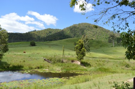 460 Eastern Mary River Road, Conondale, QLD 4552