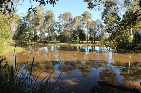 38 McGinn Road, Gheerulla, QLD 4574