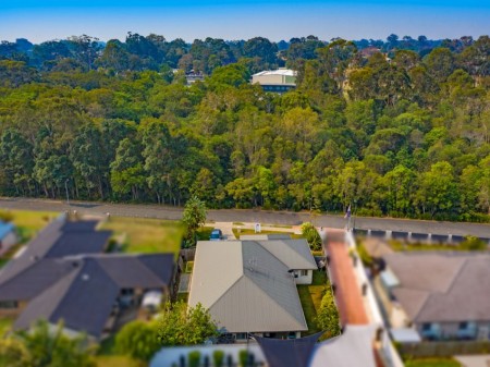 19 Parkgrove Street, Birkdale, QLD 4159