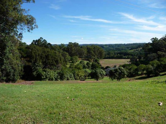 Property in Diddillibah - Sold
