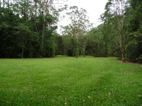Property in Diddillibah - Sold for $435,000