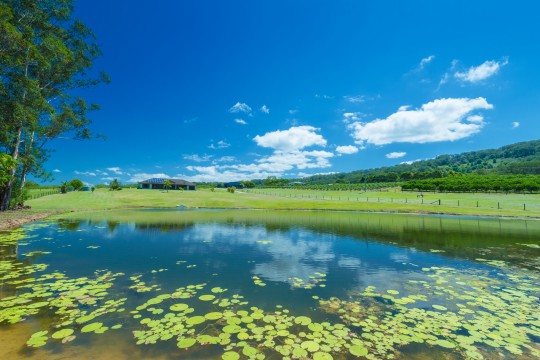 Property in North Arm - Sold for $1,550,000