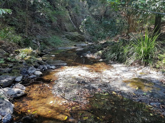 Property in Kureelpa - Sold for $680,000