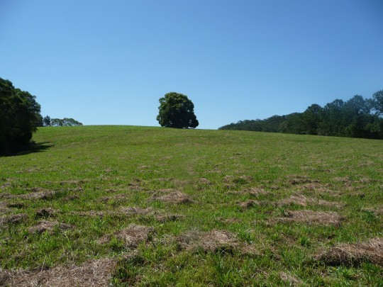 Property in Rosemount - Sold for $680,000