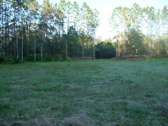 Property in Diddillibah - Sold for $340,000