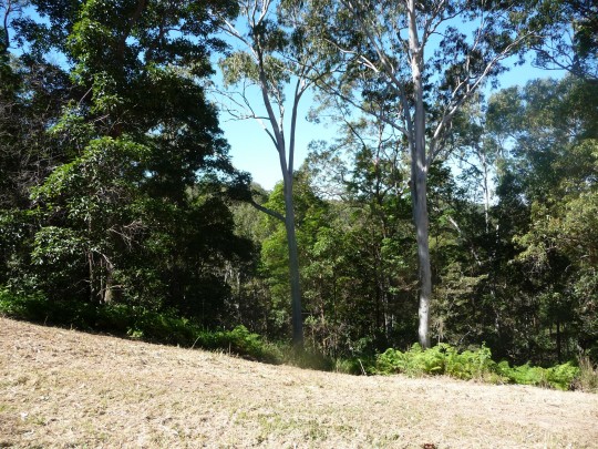 Property in Ninderry - Sold for $145,000