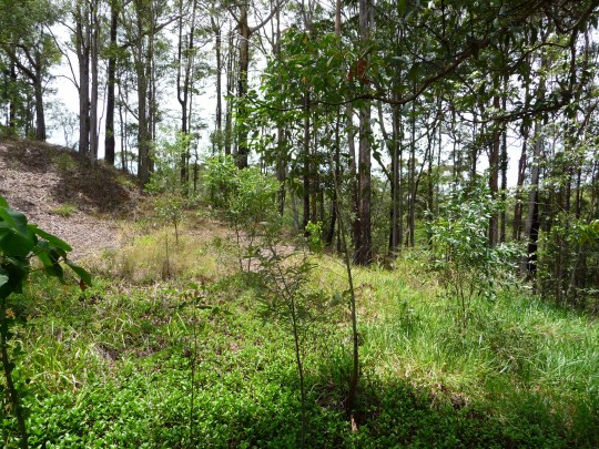 Property in Forest Glen - Sold for $190,000