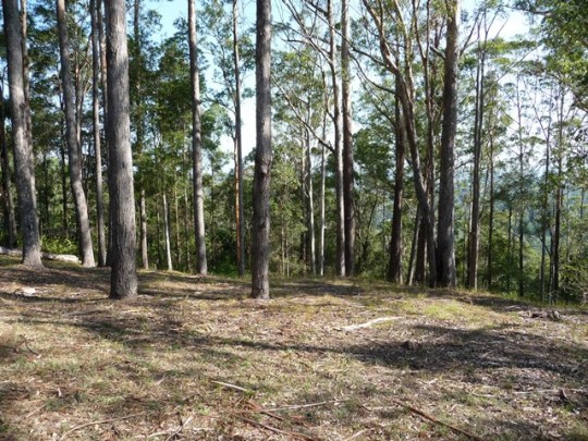 Property in Kiels Mountain - Sold for $225,000