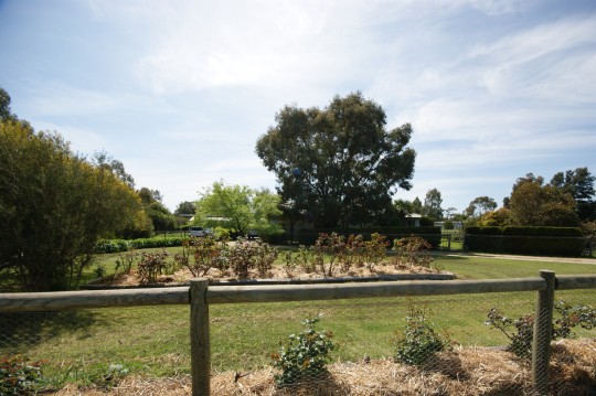 Property in Deniliquin - Sold