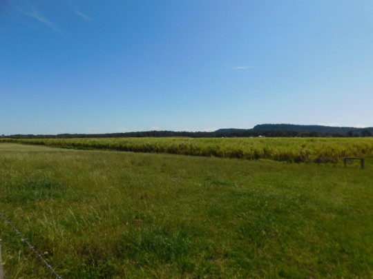 Property in Swan Bay - Sold