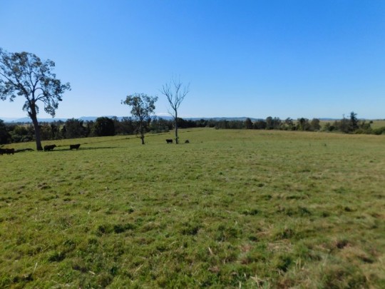 Property in Dobies Bight - Sold