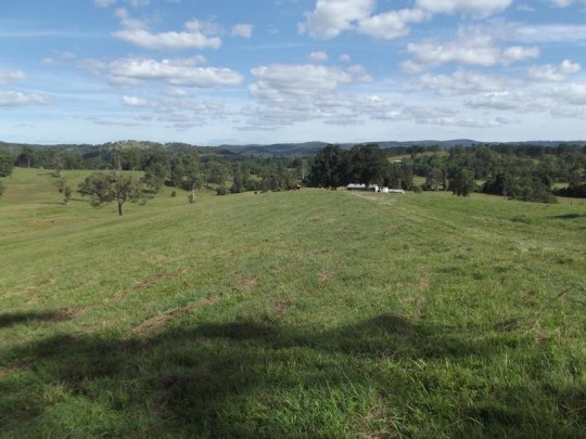 Property in Bingeebeebra Creek - Sold