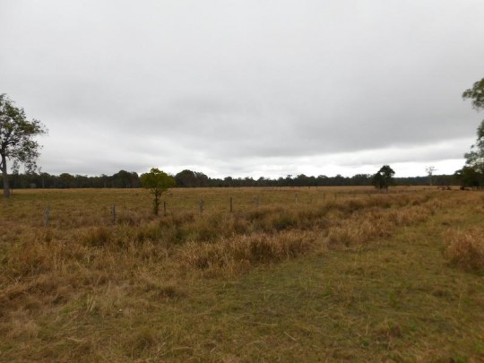 Property in Rappville - Sold for $220,000