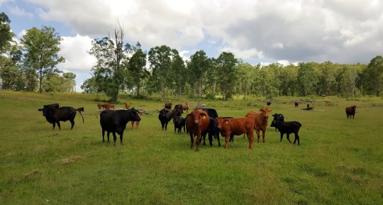 Property in Doubtful Creek - Sold