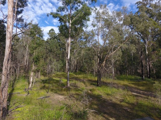 Property in New Italy - $900,000