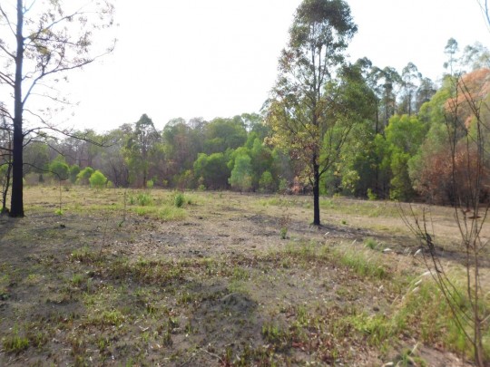 Property in New Italy - $289,000