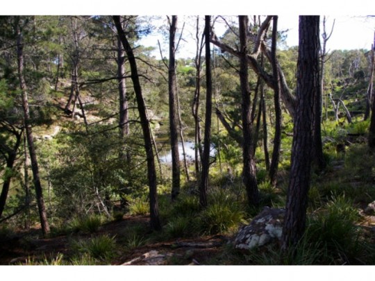 Property in Berrima - Sold